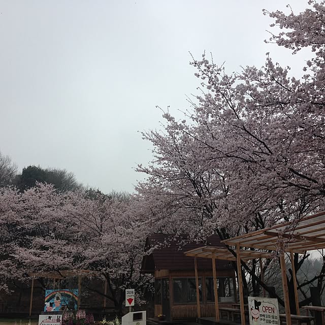 kimikoさんの実例写真