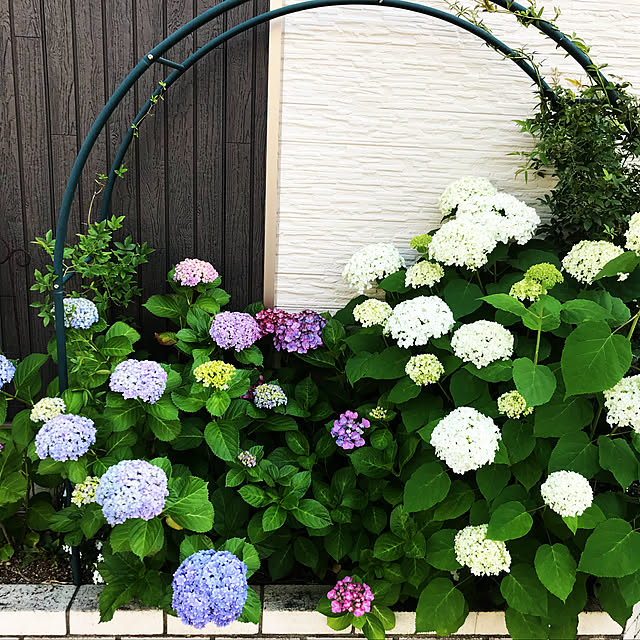 BbBbさんの実例写真