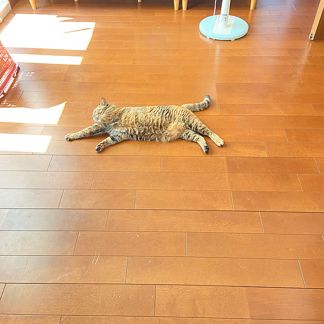 hansho.sさんの実例写真