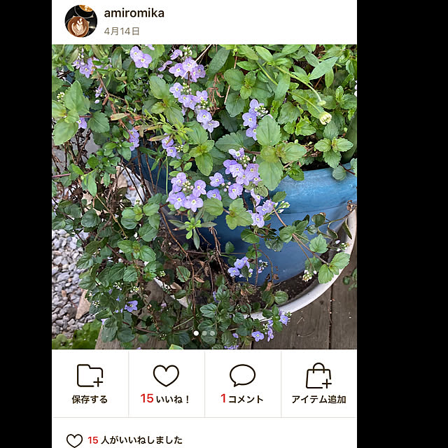 amiromikaさんの実例写真