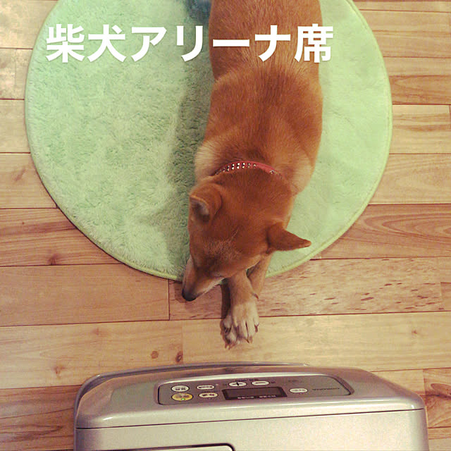 okadajapanさんの実例写真