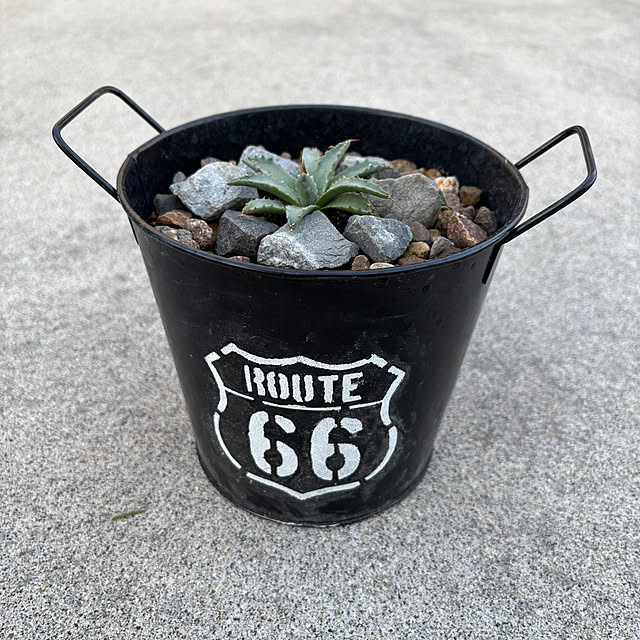 t-k-aさんの実例写真