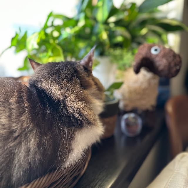 Kyouさんの実例写真