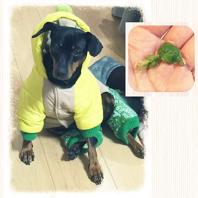 amiさんの実例写真