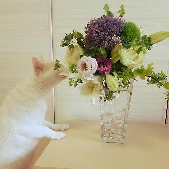 Miki1010さんの実例写真