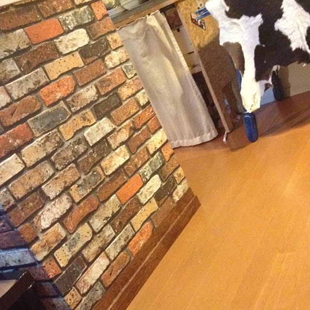 R_mamaさんの実例写真