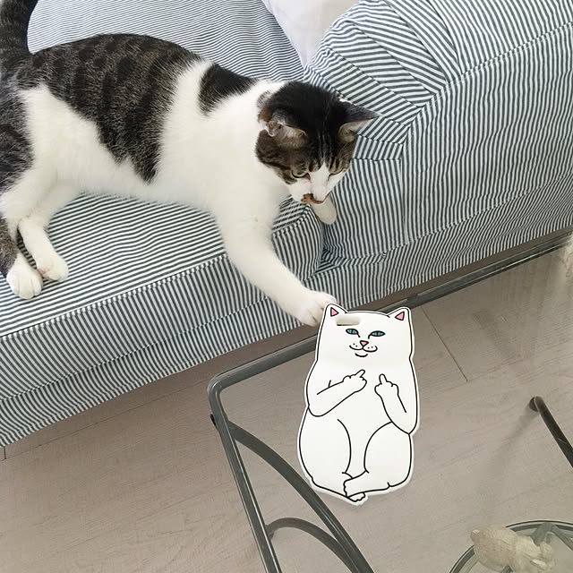 yuchiさんの実例写真