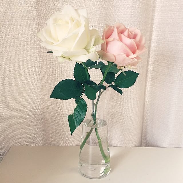 Saoriさんの実例写真