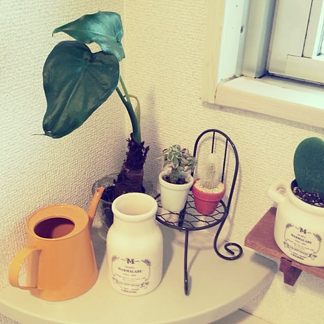 mayaさんの実例写真