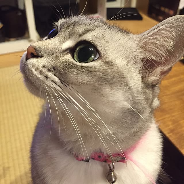 LEMONさんの実例写真