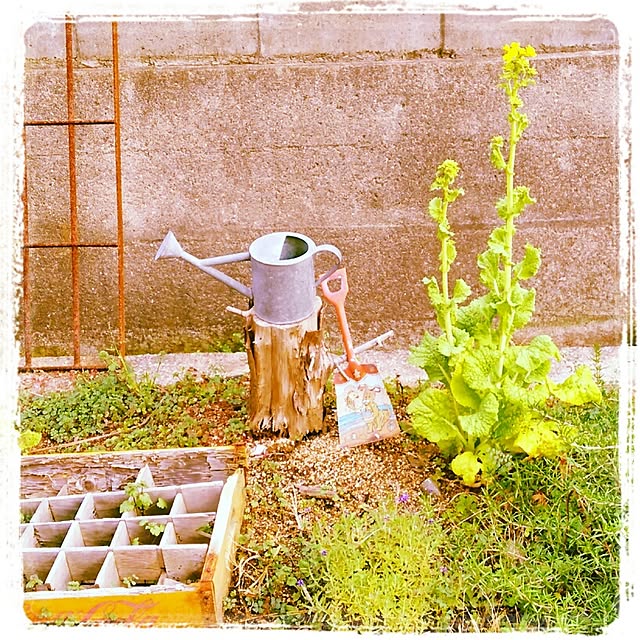chikaさんの実例写真