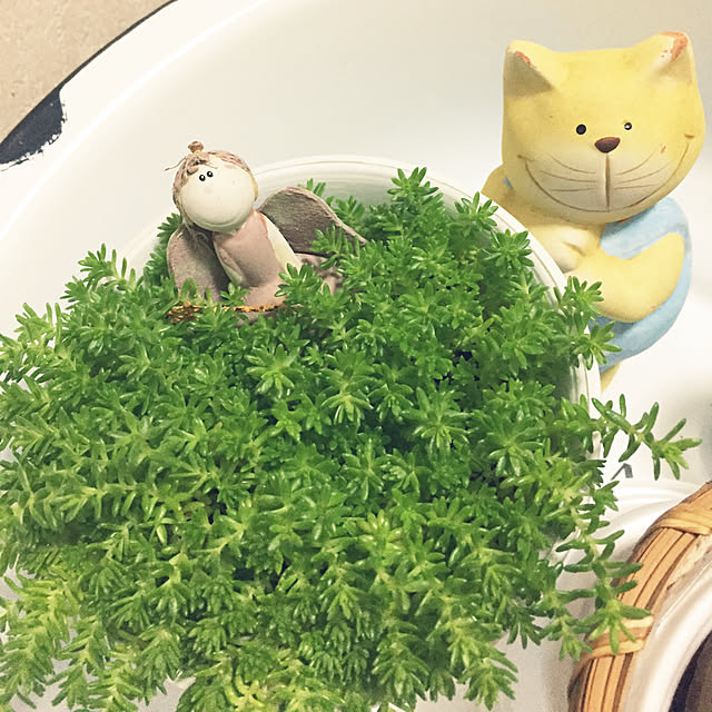 takakoさんの実例写真