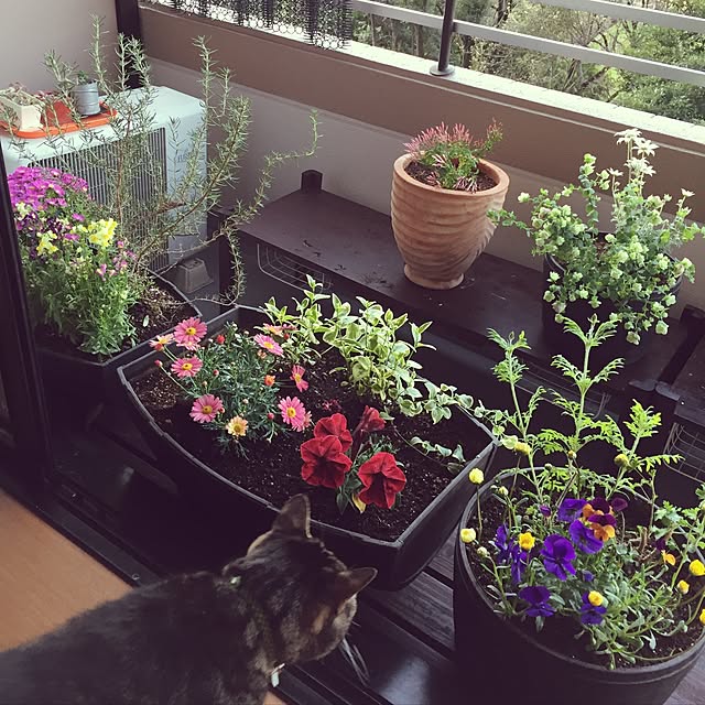 実例写真
