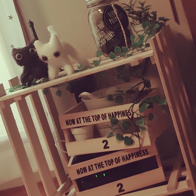 STELLA.さんの実例写真
