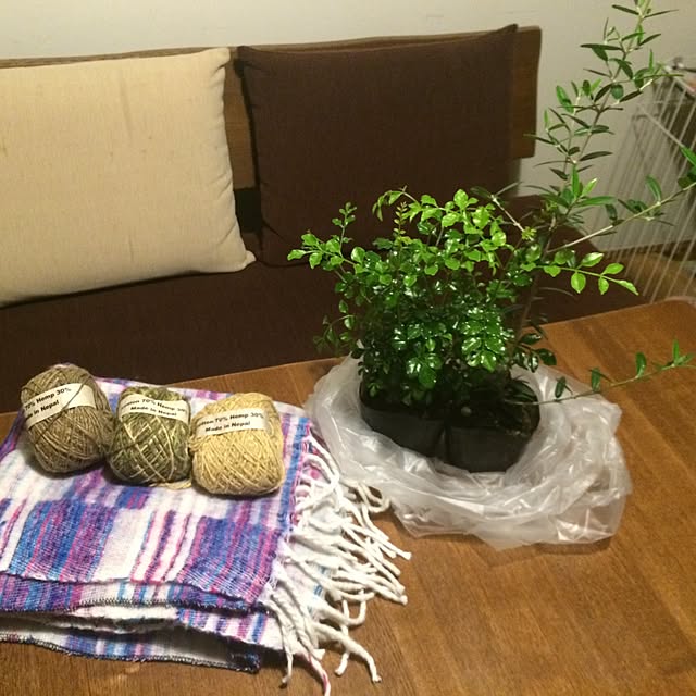 marobokeさんの実例写真