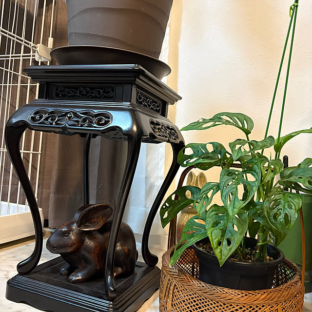 manonさんの実例写真