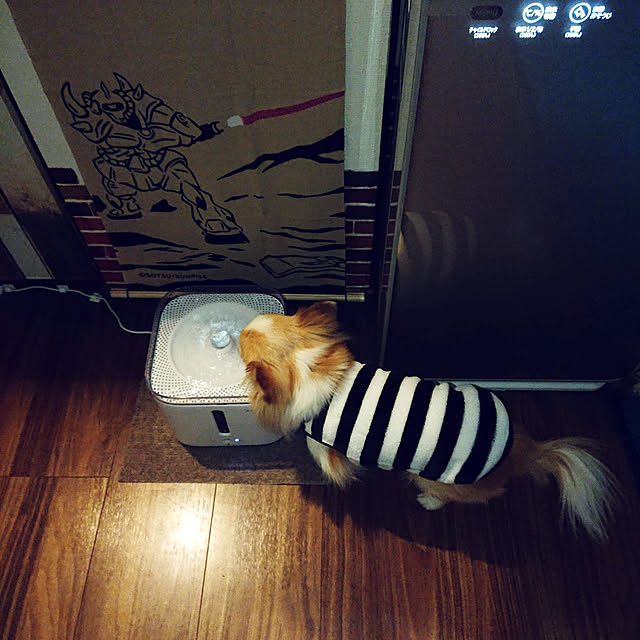 porinさんの実例写真