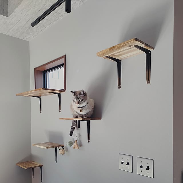 Atelier_tamakiさんの部屋