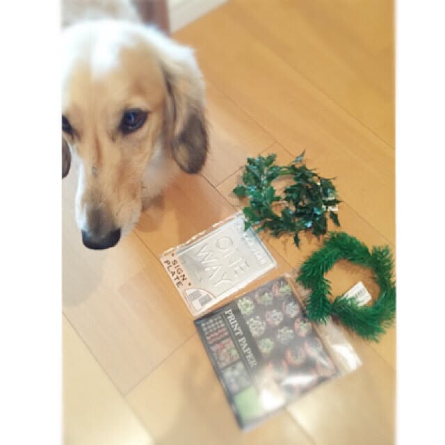 Tomo...NSR...さんの実例写真
