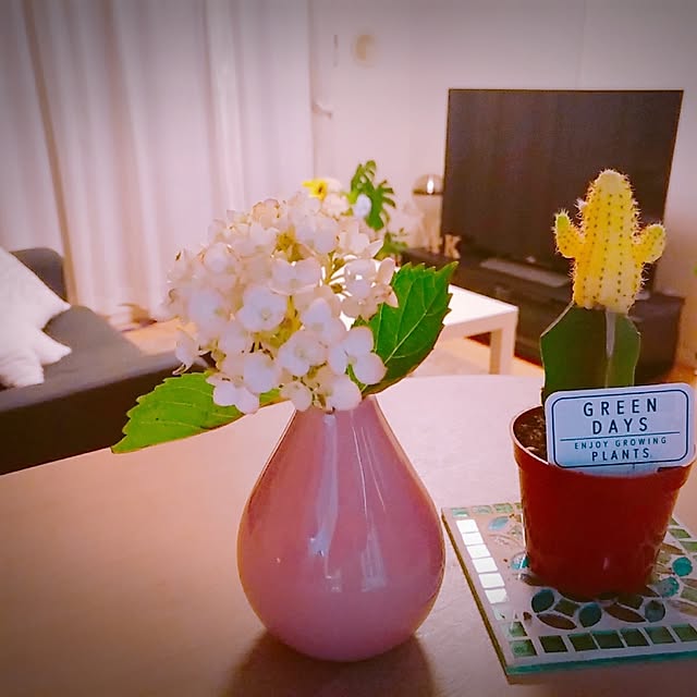 toraさんの実例写真