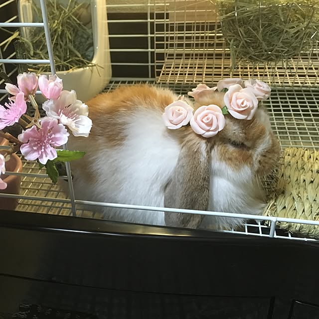 tamamm703さんの実例写真