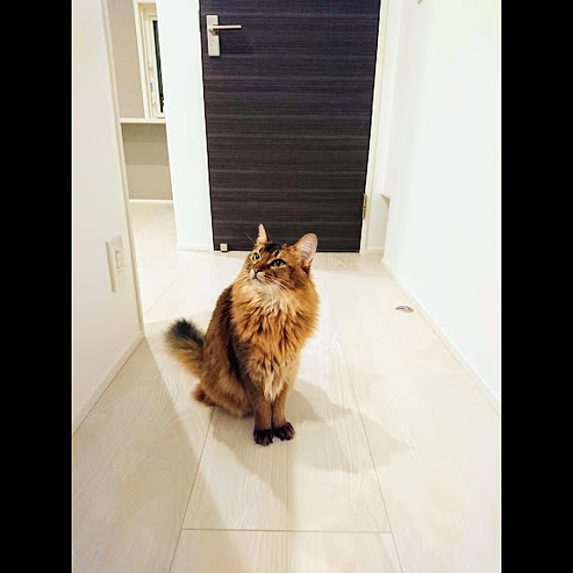 malmさんの実例写真