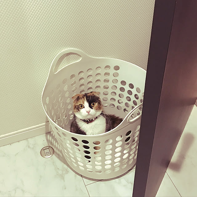 TOMOさんの実例写真