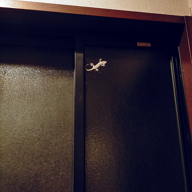 michiさんの実例写真