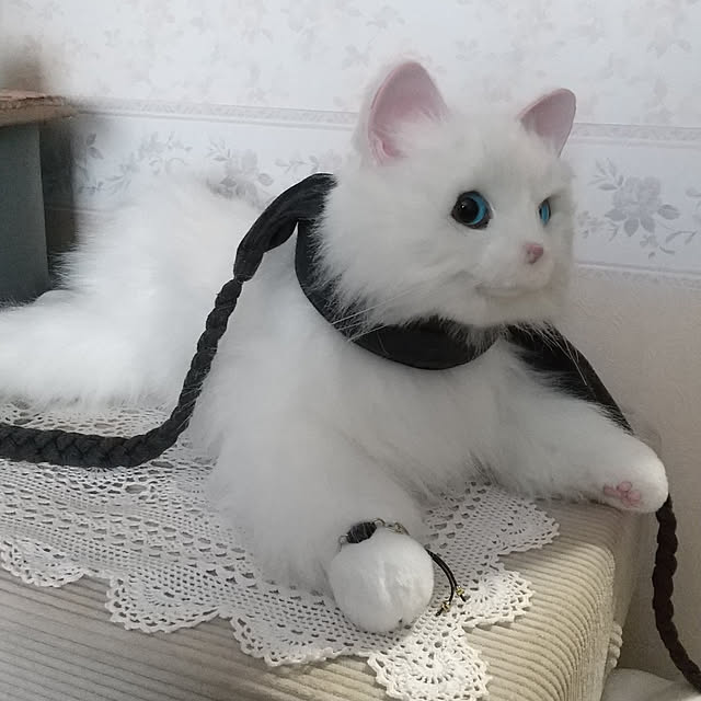 Miuさんの実例写真