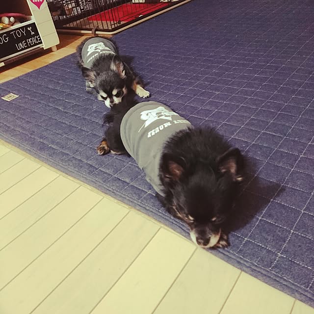 lovepeaceさんの実例写真
