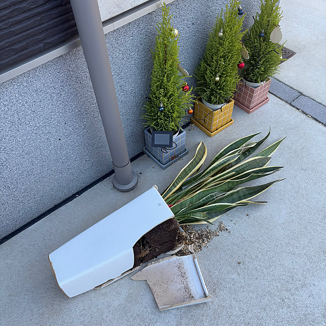 miffy.0044さんの部屋