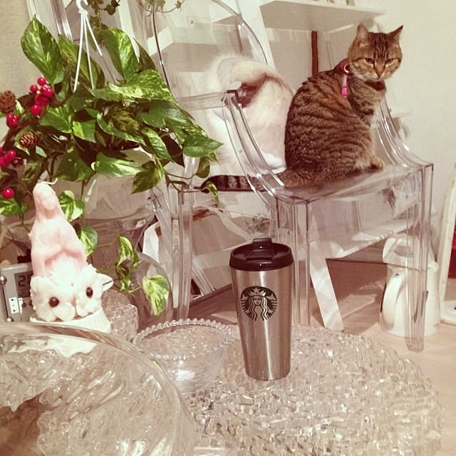 vanillaさんの実例写真