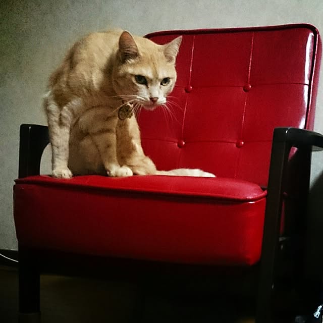 maamaさんの実例写真