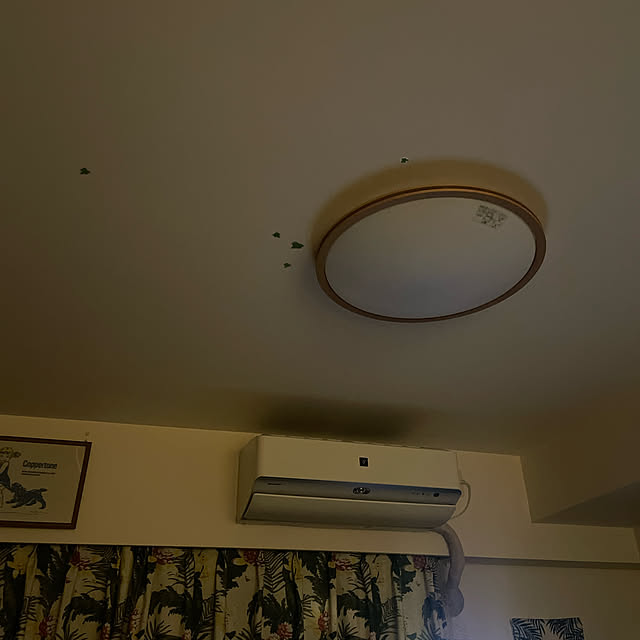 Eriさんの実例写真