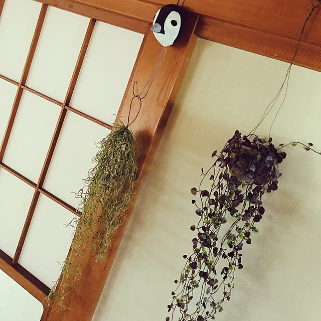 hiroさんの実例写真