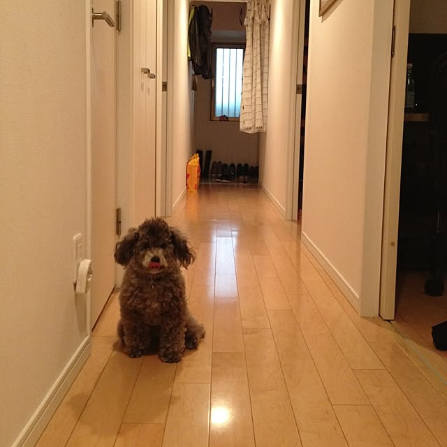 shaneさんの実例写真
