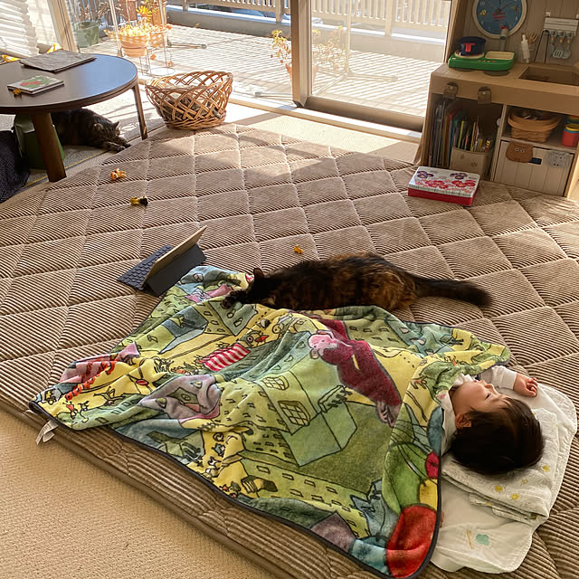 mikomaruさんの実例写真