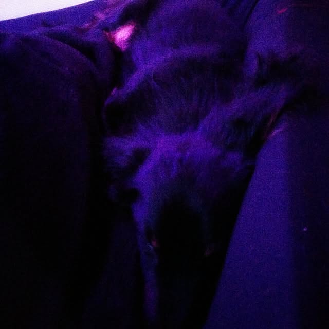 xxxpunk696さんの実例写真