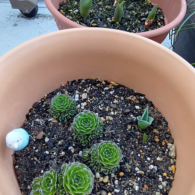 25Moondropsさんの部屋