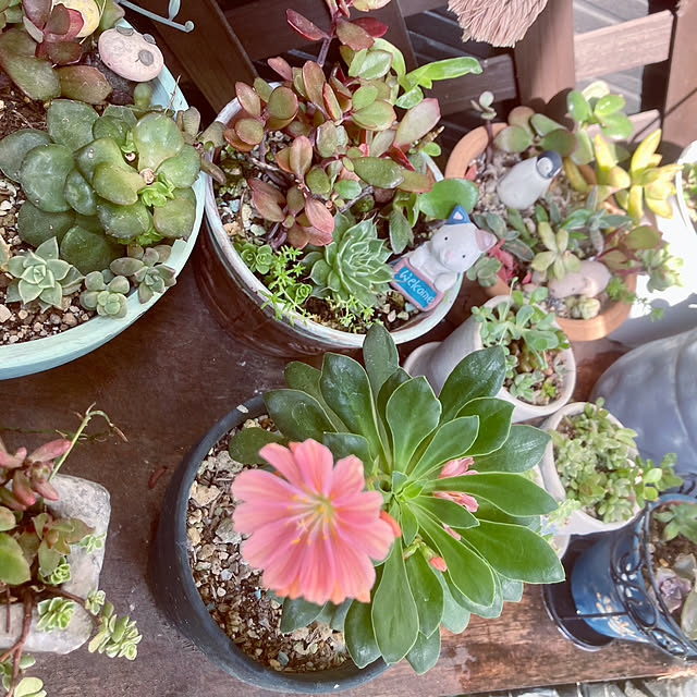 CoCo0617さんの部屋