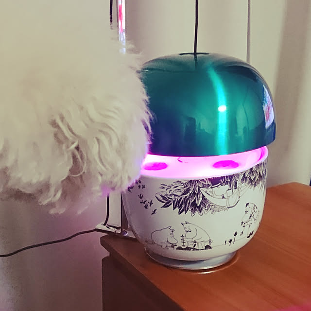 masamasaさんの実例写真