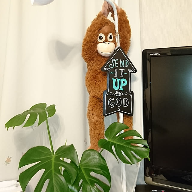 kerorinさんの実例写真