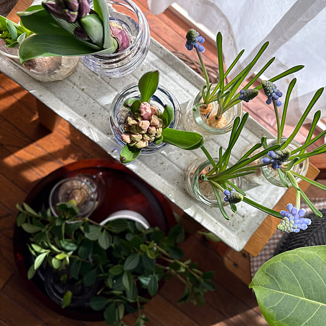 nana77さんの実例写真