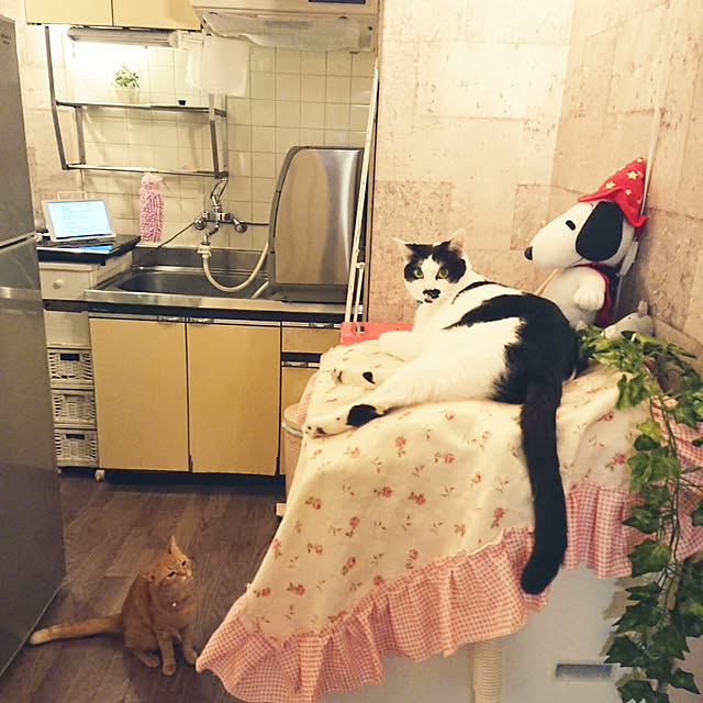 asuminさんの実例写真