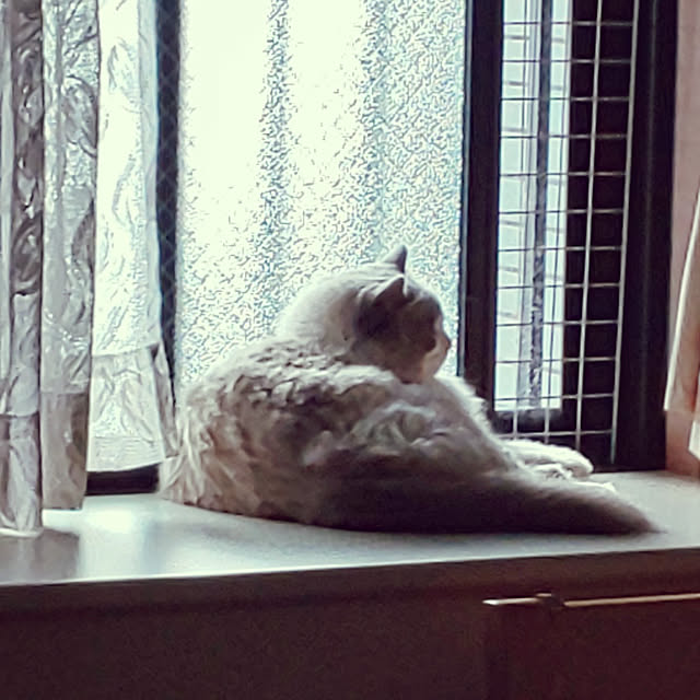 soraさんの実例写真