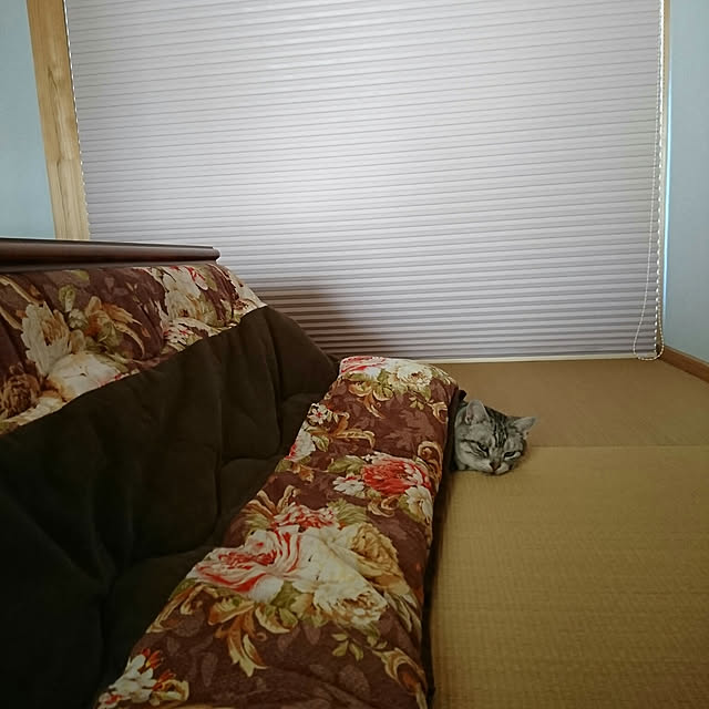 machikomamaさんの実例写真