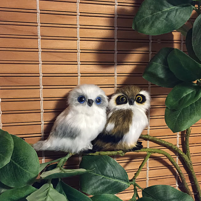 yocchiさんの実例写真