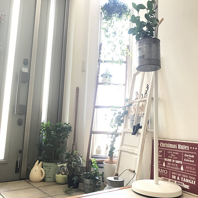 my home/マイホーム/観葉植物/玄関ディスプレイ/100均...などのインテリア実例 - 2020-11-14 09:26:58