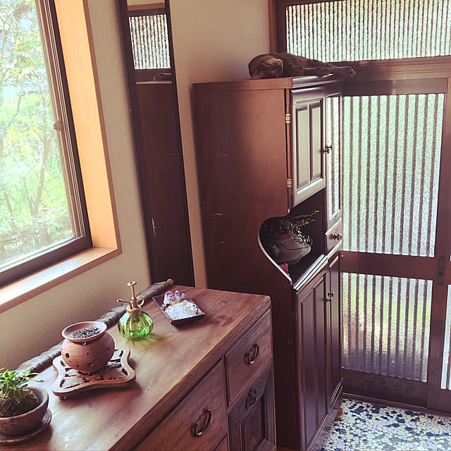 mikan161さんの実例写真