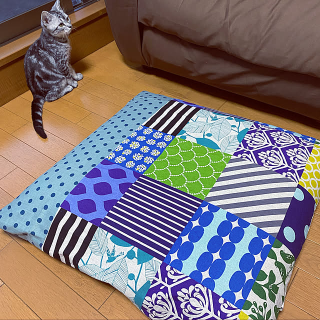 yuzuaoさんの実例写真